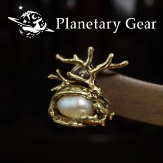  Planetary Gear  ΤΥԥ ( øѡ )