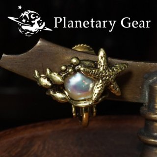  Planetary Gear  ΤΥ ( øѡ )