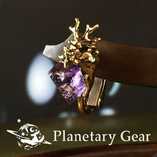  Planetary Gear  ηҤΥ ( ᥸ )