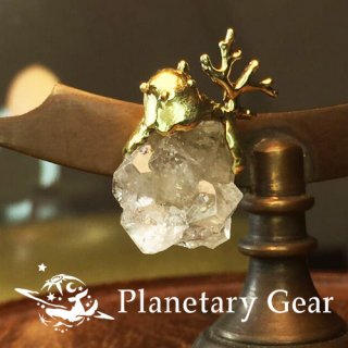  Planetary Gear  ΥΥԥ ( ݥե饤 )