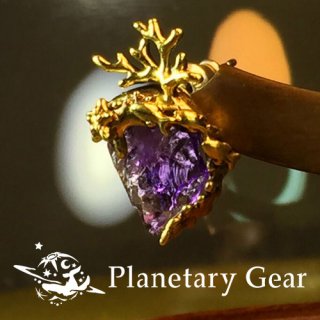  Planetary Gear  ΥΥԥ ( ᥸ )