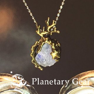 Planetary Gear  ΥΥͥå쥹 ( ֥롼ࡼ󥹥ȡ )