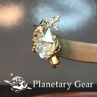  Planetary Gear  ΥΥ ( ϡޡݥ )