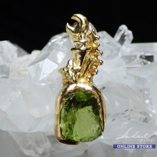 <img class='new_mark_img1' src='https://img.shop-pro.jp/img/new/icons5.gif' style='border:none;display:inline;margin:0px;padding:0px;width:auto;' /> Planetary Gear  Υ/ ڥɥå / Pierce ( B )