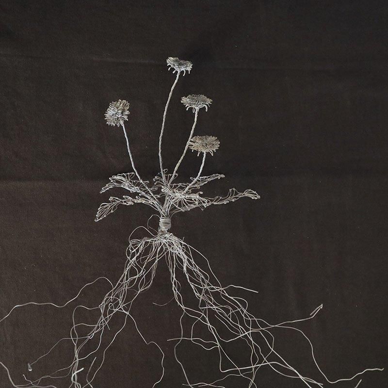 courircourir タンポポ - copse | good home good taste good design