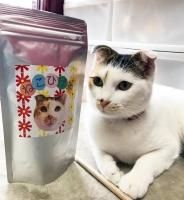 オリジナル商品 - ○元祖ねこ商まるやま商店でお買い物をすると猫の