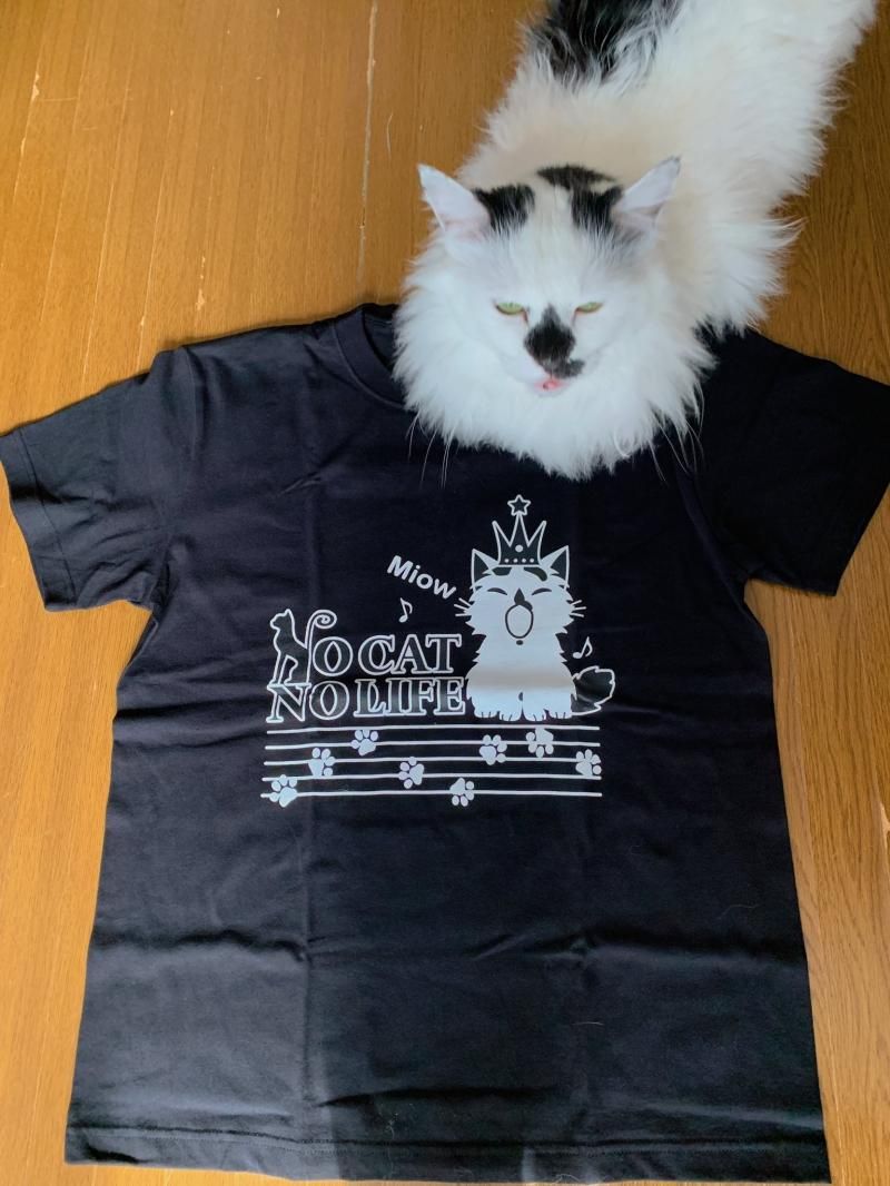 マーチがモデル☆】NOCAT NOLIFE チャリティTシャツ♪ - ○元祖