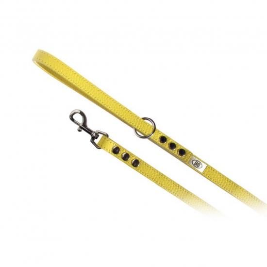カナリア【Canary】2020SS 【再入荷・現品限り】 - バディー