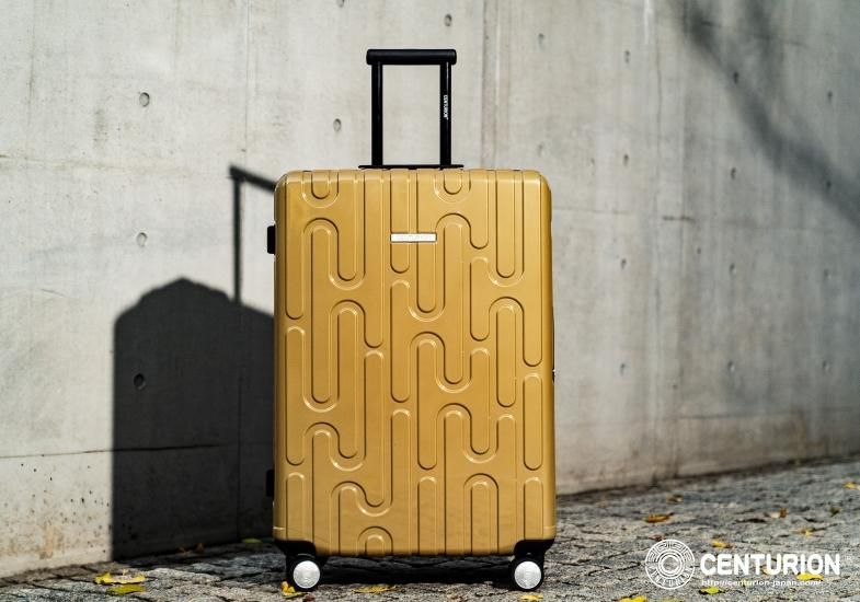 新色入荷】G-DBG（ゴールド）29インチ26,600円（税込）26インチ