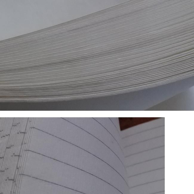 <img class='new_mark_img1' src='https://img.shop-pro.jp/img/new/icons22.gif' style='border:none;display:inline;margin:0px;padding:0px;width:auto;' />֥åץȡΡȥ֥åL