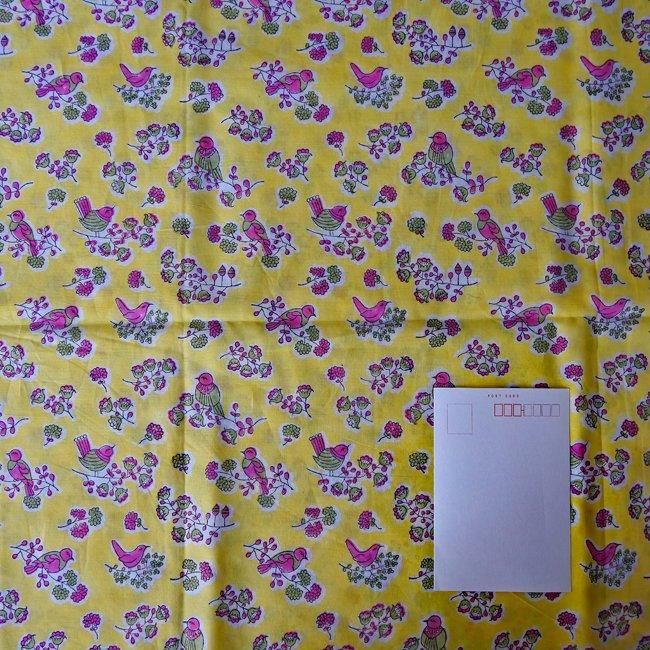 ֥åץȡϡ󥬥͡롡No.