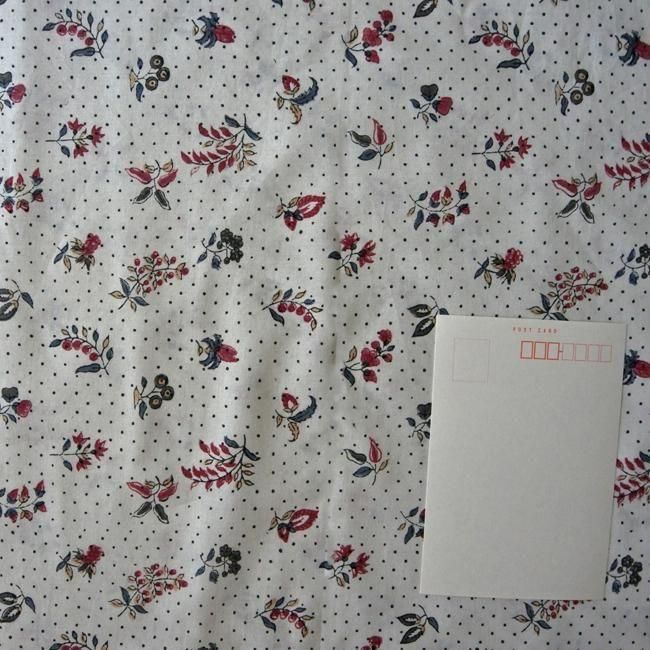 ֥åץȡϡ󥬥͡롡No.