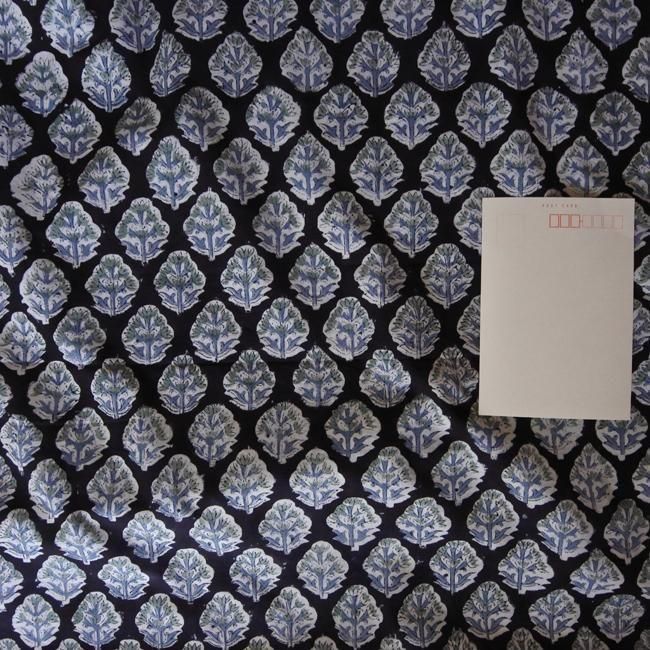 ֥åץȡϡ󥬥͡롡No.