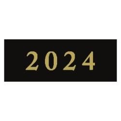 ǯ楷20242,000