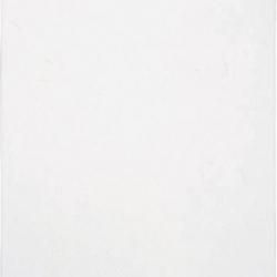 <img class='new_mark_img1' src='https://img.shop-pro.jp/img/new/icons5.gif' style='border:none;display:inline;margin:0px;padding:0px;width:auto;' />PP A4ˡ500