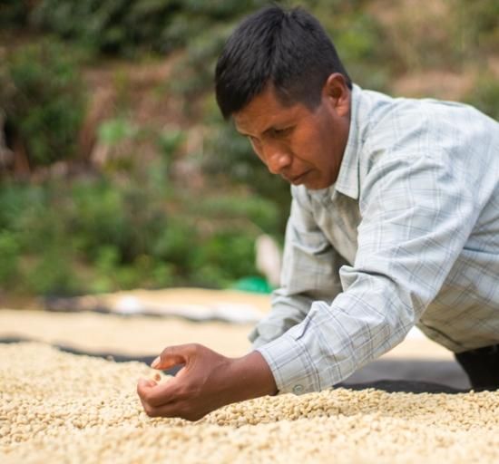 ボリビアコーヒー