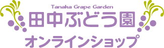 ֤ɤ४饤󥷥å