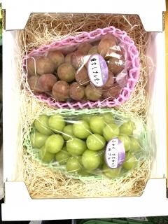 G2īΤ֤ɤ1.3kg1.6kg23˼