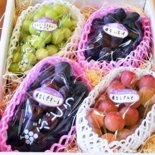 G3īΤ֤ɤ1.7kg2.1kg34˼