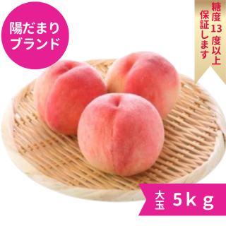 ۤޤ֥ɡ13ٰʾݾڡ5 