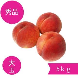 ʡ5 