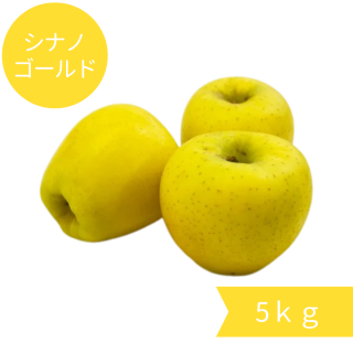 ʥΥɡ5kg16