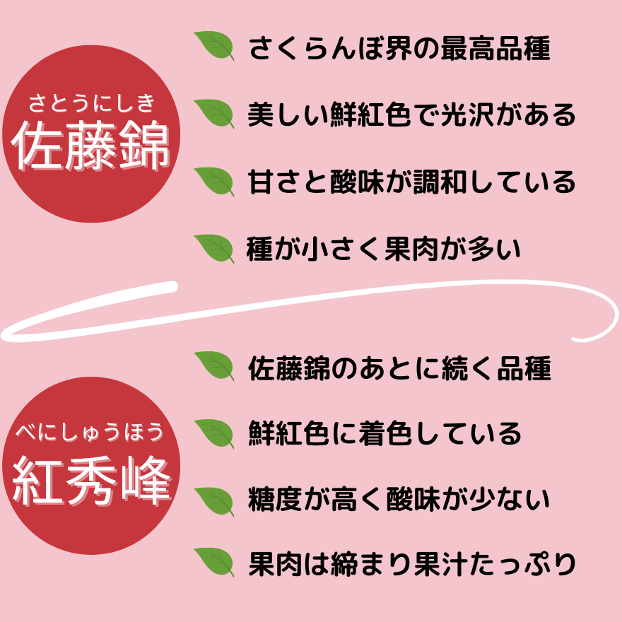 さくらんぼ 佐藤錦・紅秀峰いずれか 200g×4パック - 信州中野 さくらんぼ 佐藤錦・紅秀峰いずれか 200g×4パック - 信州中野