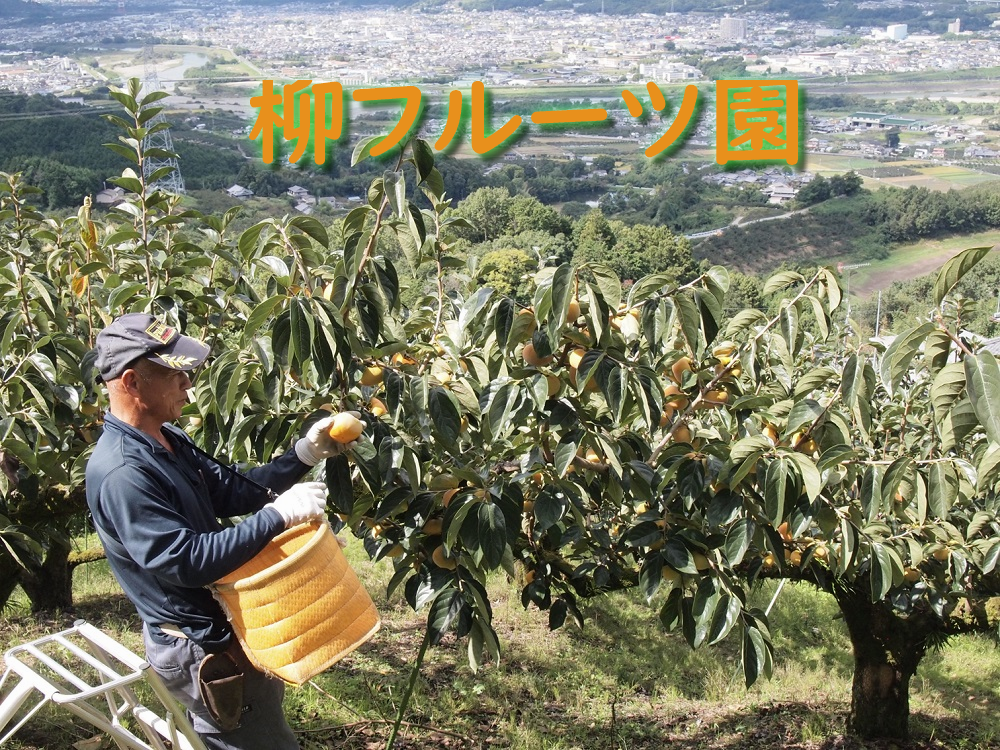 ե롼ı