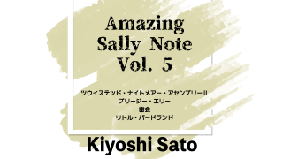 MAJIONǡAmazing Sally Note(᡼󥰡꡼Ρ) Vol.5 byƣ
