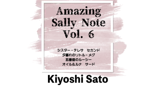 MAJIONǡAmazing Sally Note(᡼󥰡꡼Ρ) Vol.6 byƣ