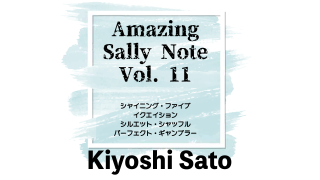 MAJIONǡAmazing Sally Note(᡼󥰡꡼Ρ) Vol.11 byƣ