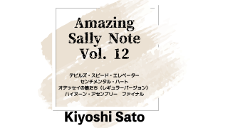MAJIONǡAmazing Sally Note(᡼󥰡꡼Ρ) Vol.12 byƣ