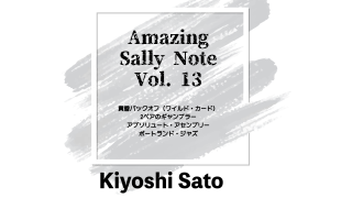 MAJIONǡAmazing Sally Note(᡼󥰡꡼Ρ) Vol.13 byƣ