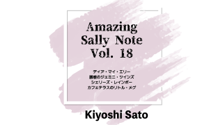 MAJIONǡAmazing Sally Note(᡼󥰡꡼Ρ) Vol.18 byƣ