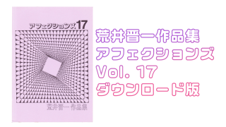 ڥǡۥե Vol. 17 byӰ濸
