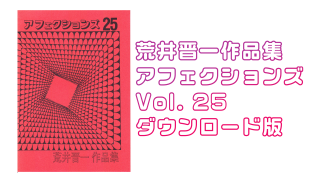 ڥǡۥե Vol. 25 byӰ濸