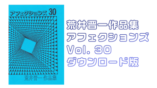 ڥǡۥե Vol. 30 byӰ濸