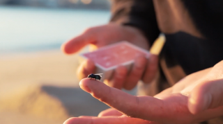 The FLY LITEʥե饤by Marcos Waldemar & Invisible Compass