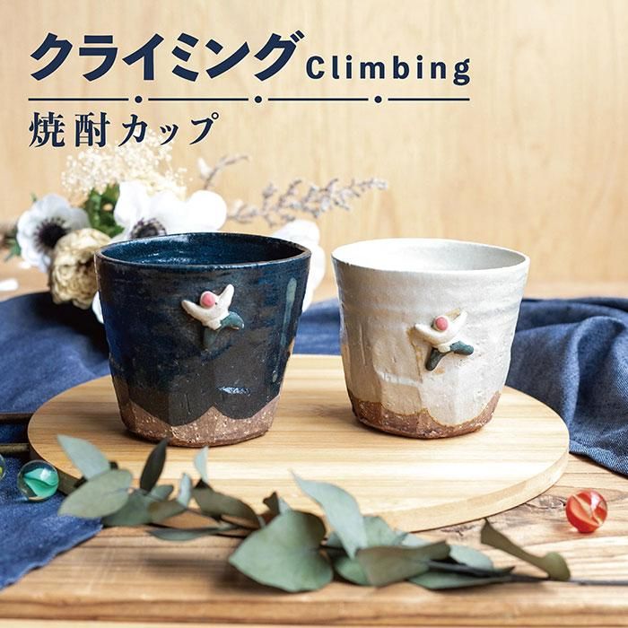 Climbing 񥫥å