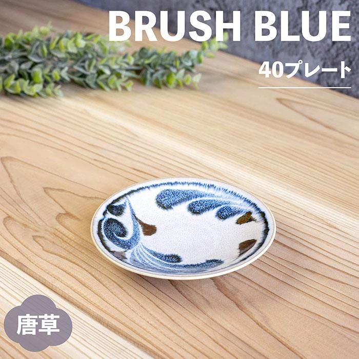 ɮ 40ץ졼 5祻å  Brush Blue