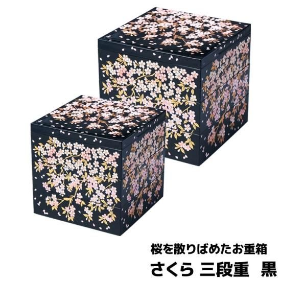 さくら 三段重 黒