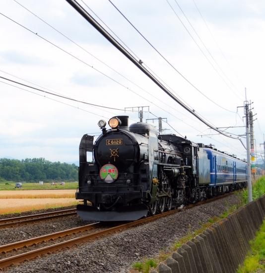 機関車(SL)だるま D51 - 吉田だるま店|高崎だるま製造販売