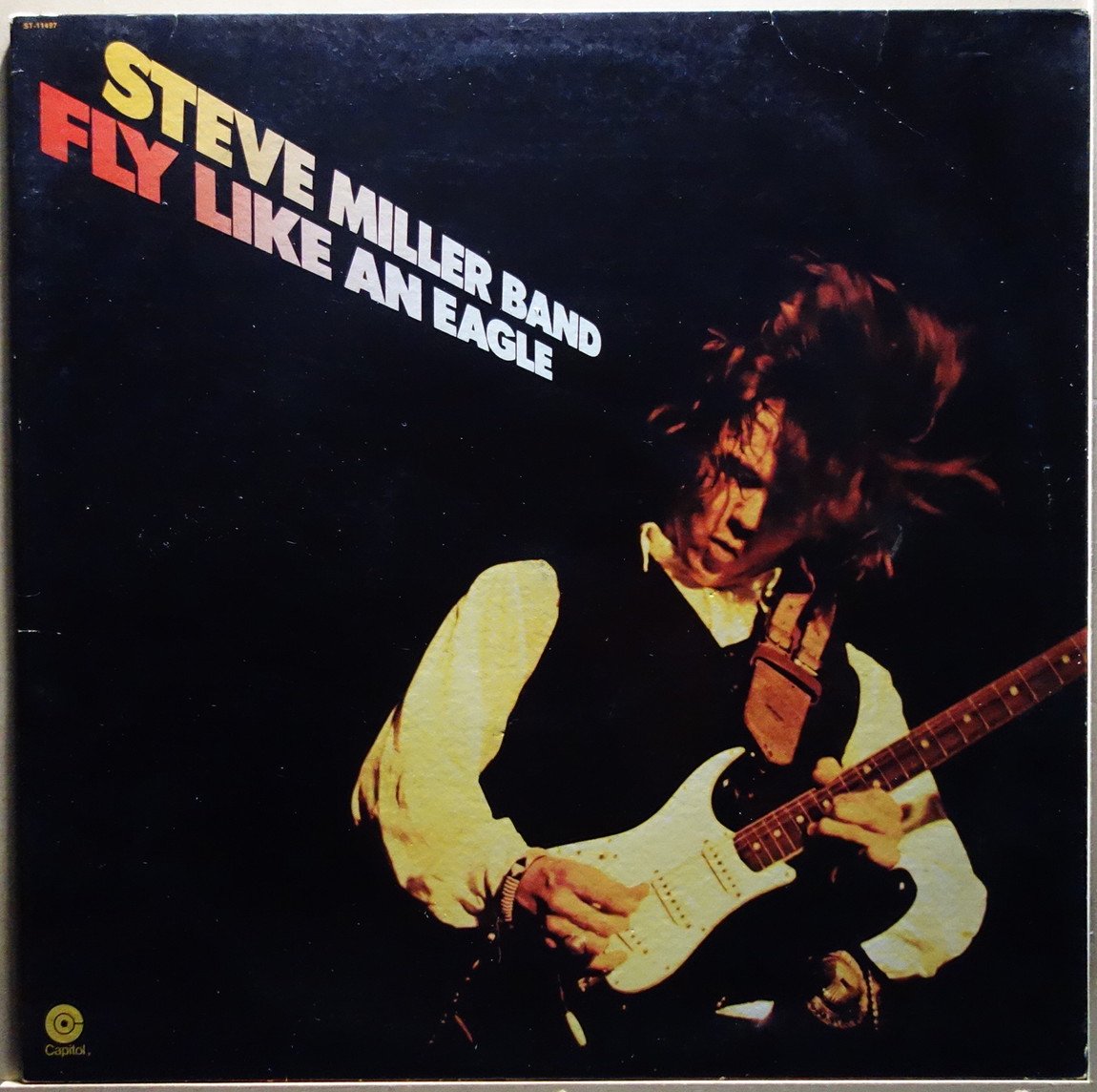Steve Miller Band   Fly Like An Eagle   Vinylian   Vintage Vinyl