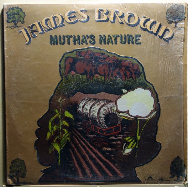 James Brown And The New J.B.'s - Mutha's Nature