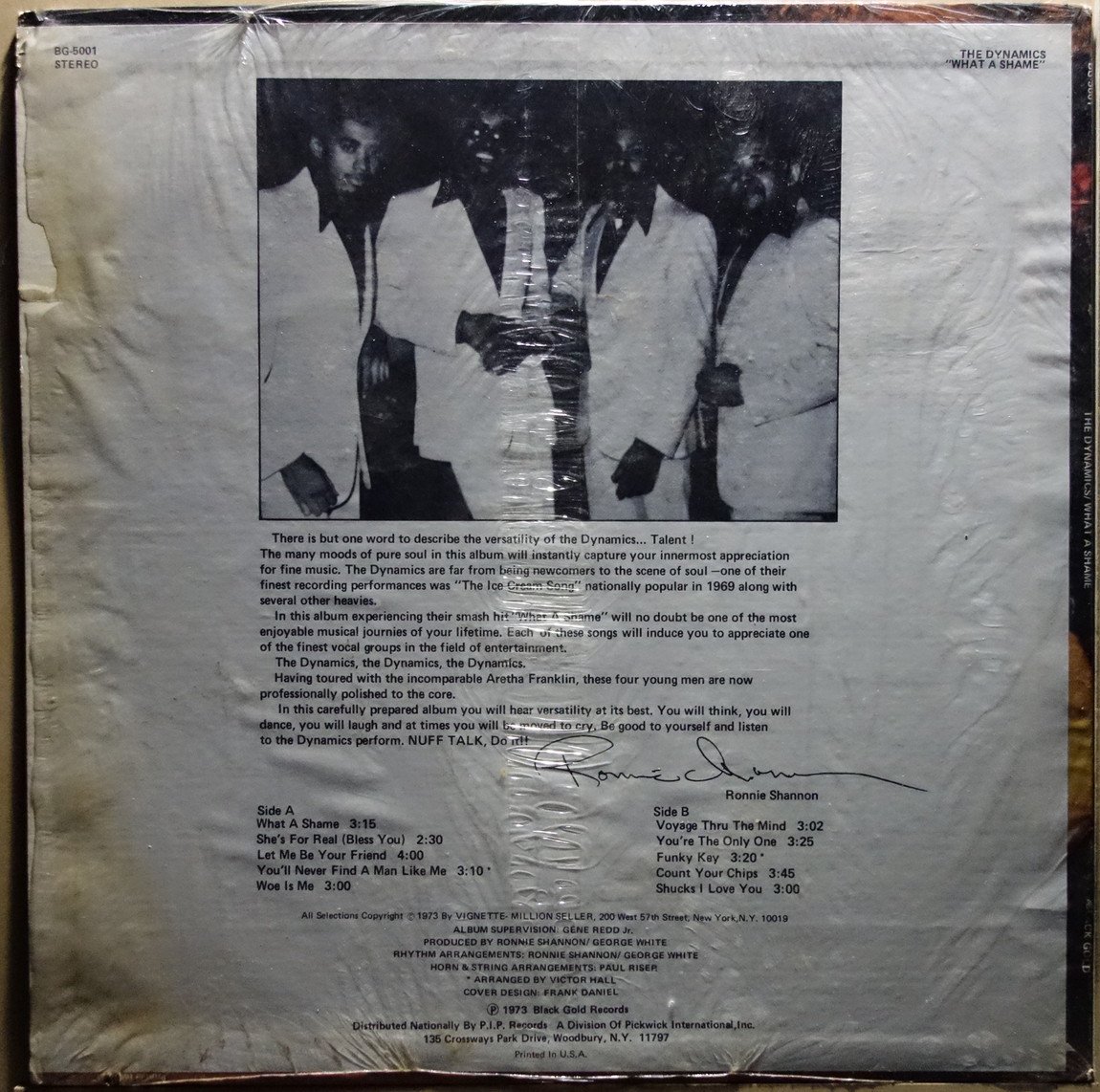 The Dynamics - What A Shame - Vinylian - Vintage Vinyl Record Shop