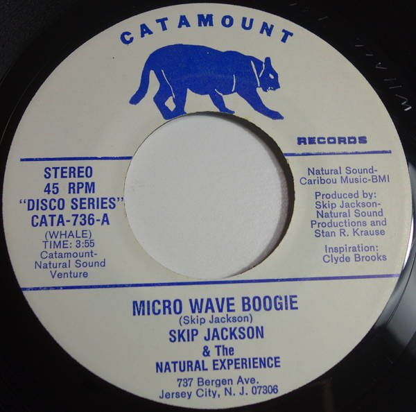 Skip Jackson & The Natural Experience - Micro Wave Boogie