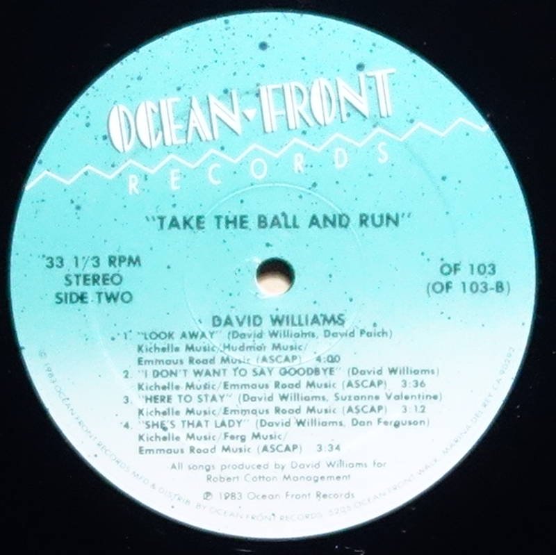David Williams - Take The Ball And Run - Vinylian - Vintage Vinyl Record  Shop