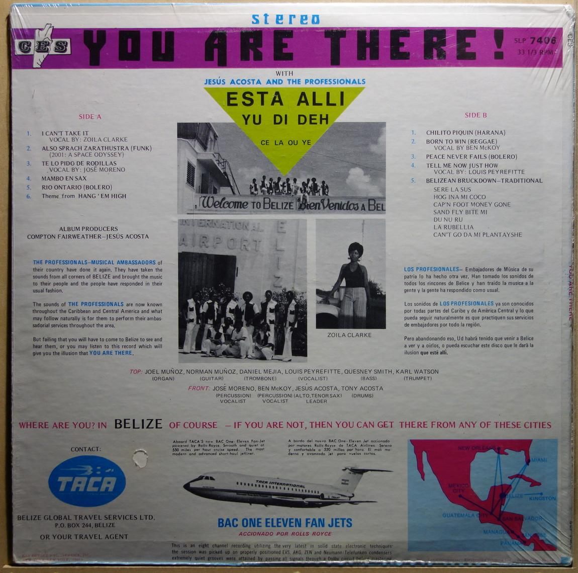 elvis presley (RARE!!USオリジナルワンシートポスター!!)