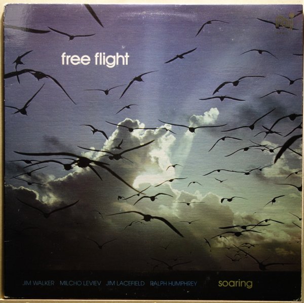 Free Flight - Soaring