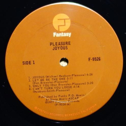 US/ Pleasure Joyous LP レコード PLEASURE / JOYOUS (LP) - HIP TANK RECORDS